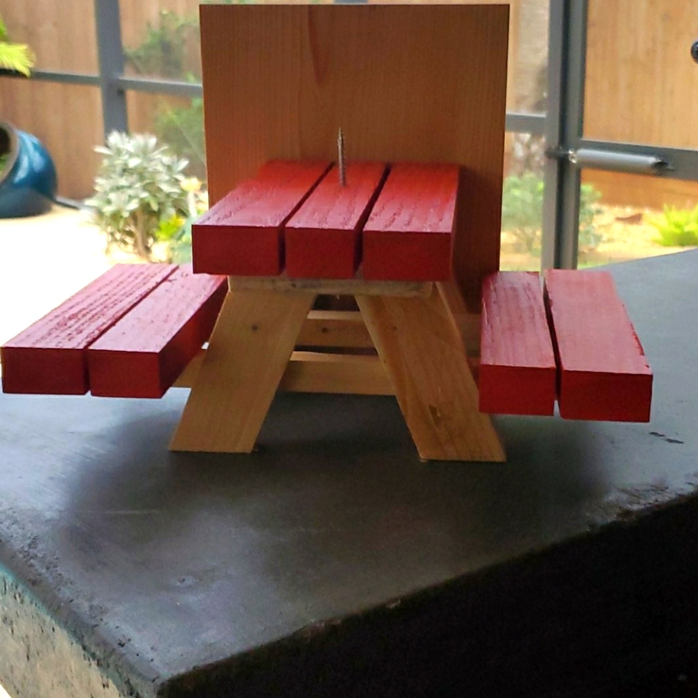 Squirrel Picnic Table